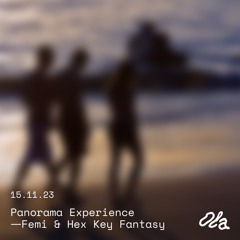 Panorama Experience — Femi & Hex Key Fantasy