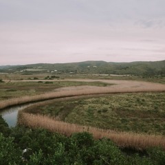 Simon Doty/Marsh Set