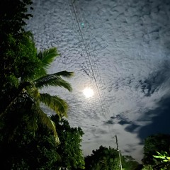 BELAU 🇵🇼