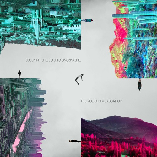 The Polish Ambassador - The Wrong Side Of The Universe