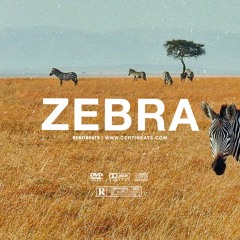 (FREE) B Young ft Rema & Omah Lay Type Beat "ZEBRA" | Free Beat | Afrobeat Instrumental 2023