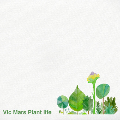 Life cycle