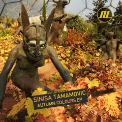 Sinisa Tamamovic - Illegal Dance - Night Light Records