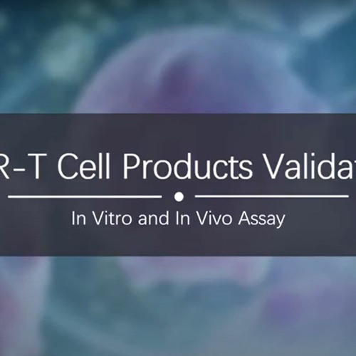 Stream episode CART cell validation assay by Candy Swift podcast