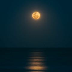 Moonlight