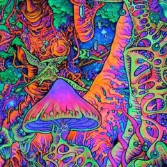 CrazyTrippin™(Psytrance)