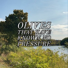 Olives That Have Known No Pressure #626 W.N. (SJR 12.27.20)