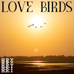 H.R.Y - LOVEBIRDS