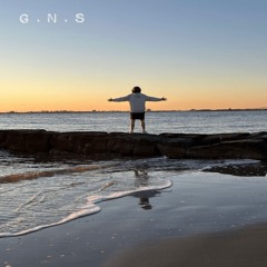 G.N.S