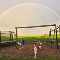 Progressive Playground 20
