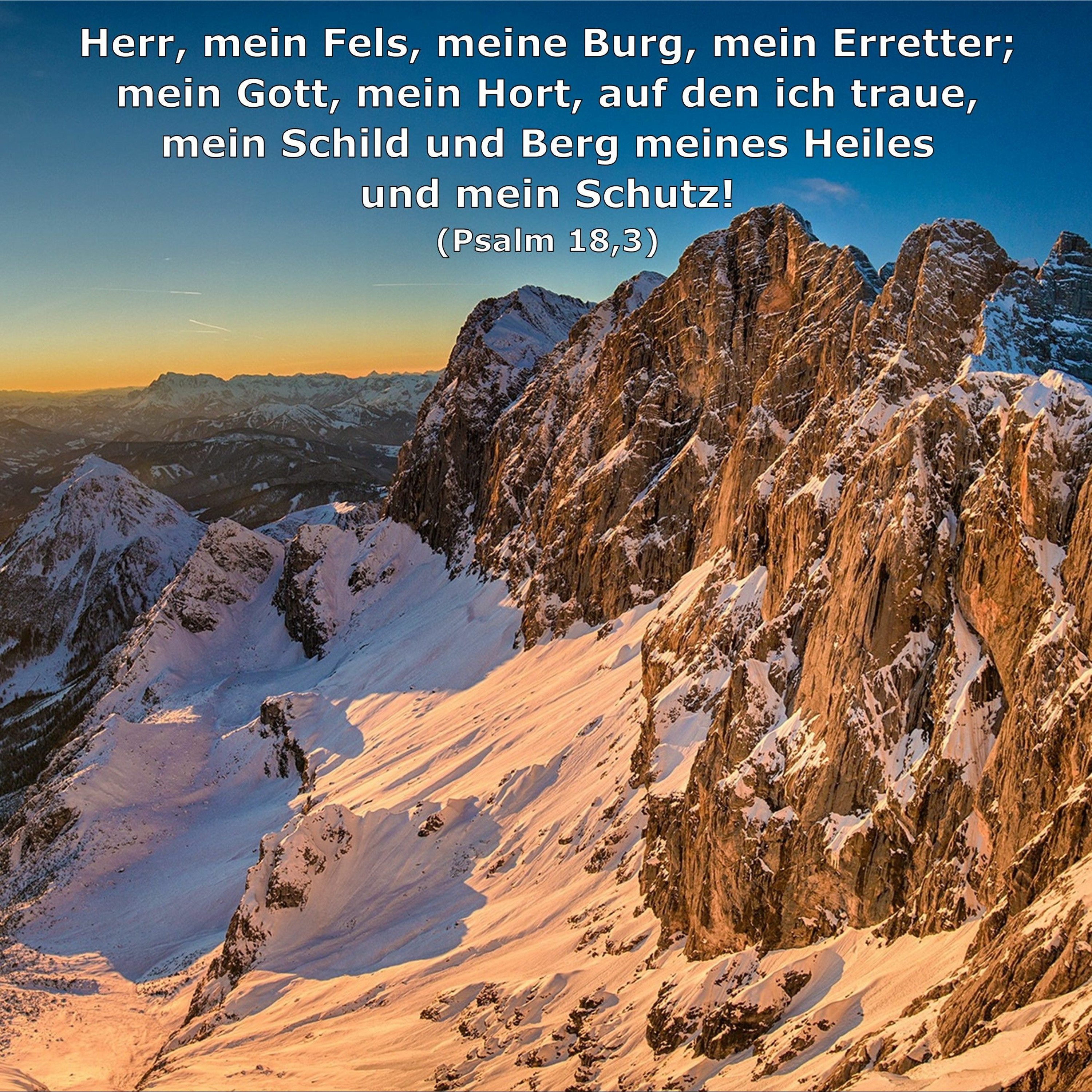 In einem Jahr durch die Bibel