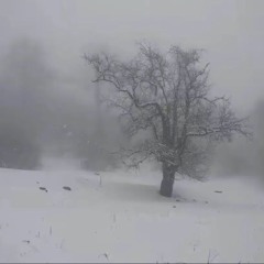 jumpstylez - Winterstylerz X Instasamka