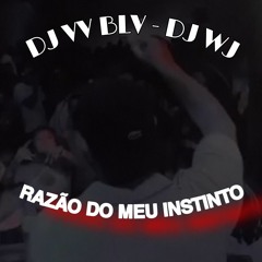 DJ VV BLV - RAZÃO DO MEU INSTINTO (PART. DJ WJ-  MC VN031- JOÃO BLV- MC MENOR LV)
