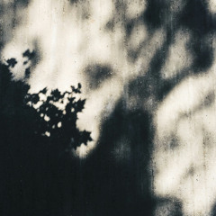 SHADOWS AND ECHOES