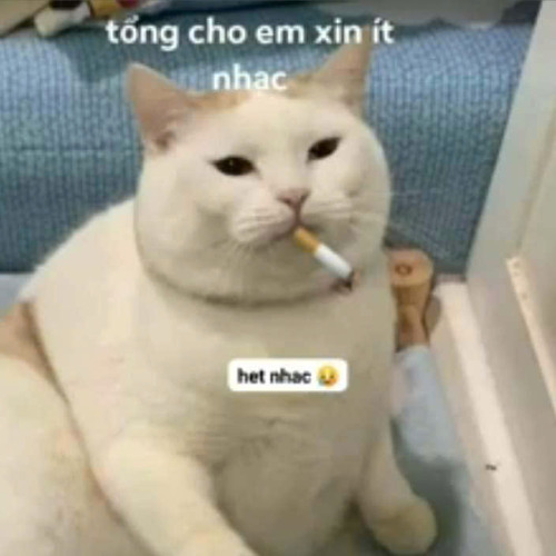 Addicts by Music - Hoi Dong Chuyen Mon Mix