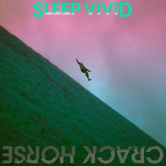 A Fever Dream