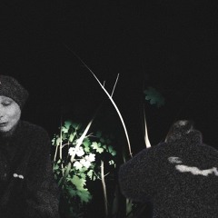 vertraumt_BRu28ltf.mp3