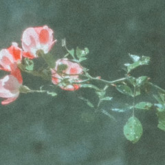 SuperTired (Freestyle)