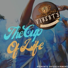 Ricky Martin - The Cup Of Life (The Official 1998 FIFA World Cup)- Ben Heineken Remix (Firents Team)