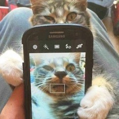 quero q vc se … & DROGA! nao vou conseguir dormir a noite