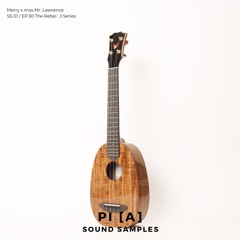 Pi [A] sound samples 01 (J Series)