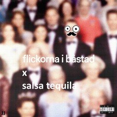 Hov1 Flickorna i Båstad x Salsa Tequila - JON_SON mashup (FREE DL)