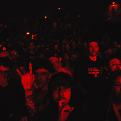 Scotta veut tout l’or du monde