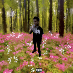 ksubi (feat. drq) (pluggyxg)
