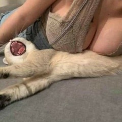 born without a heart ( p. dozefy & solo )