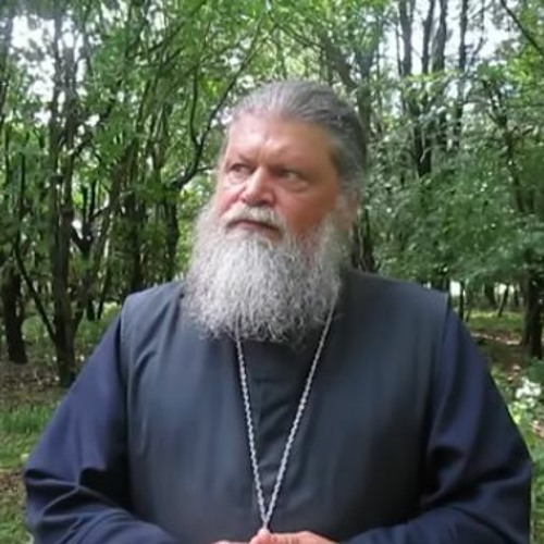 COMBATTING EVIL THOUGHTS - Father Spyridon