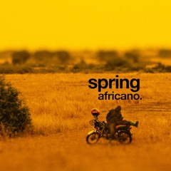 OddwinSampleChallenge#6 | springafricano.