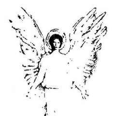 steprr p. cardinparis + toker