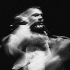 Der Kampf der Insekten