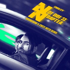 Smiley - Noi Doi Si Noaptea (MoonSound & Cristi Nitzu Remix) Radio Edit