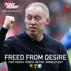 Freed From Desire (Tony Perry's 'Forest On Fire', Wembley Edit)