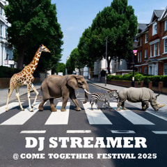 DJ STREAMER-Come Together festival 2025 full mix