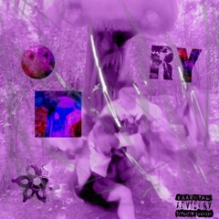 RY 7.5 - ICEPAK FREESTYLE
