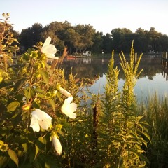 Painted Over   March 2024