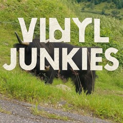 Vinyl Junkies #1 /w Marguerite invite Diane Moe