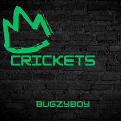 bugzyboy--crickets .m4a