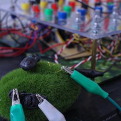 Copper-plasted bugs as resistors in my diy modular screaming watchout volume no mastering here