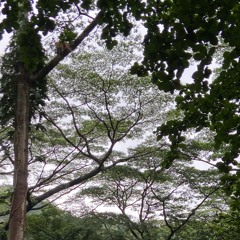 Lord, You Are My Only Goal