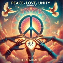 PEACE LOVE UNITY (let’s go).mp3