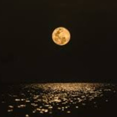 under the light of the full moon