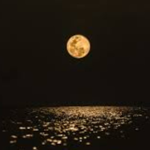 under the light of the full moon