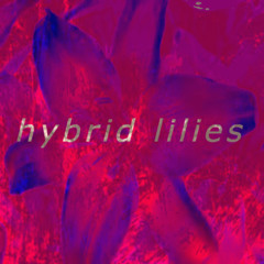 hybrid lilies.wav