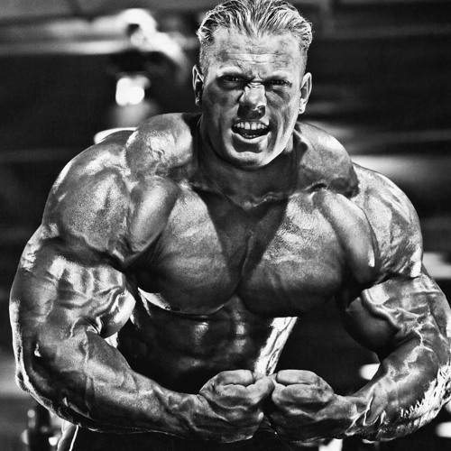 404 SQL2VD (Slowed and Pitched)