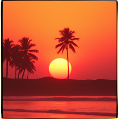 Sunset Vibes