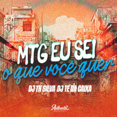 MTG - EU SEI O QUE VOCÊ QUER - DJ TH SILVA & DJ T.E DA CAIXA
