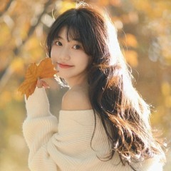 Thái Bình Mồ Hôi Rơi - Vinz Remix